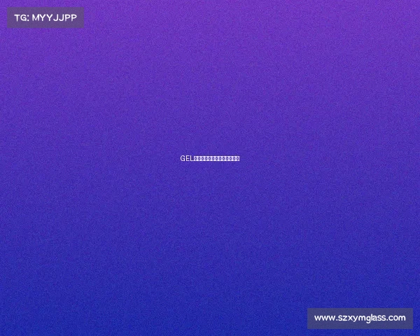 GEL广西电子竞技菁英争霸赛启幕