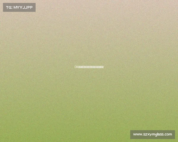 DK王者之师：重铸荣光，竞逐巅峰新征程